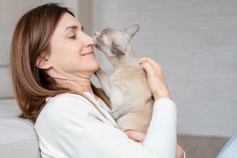 Deixar o gato ou cachorro lamber seu rosto faz mal?