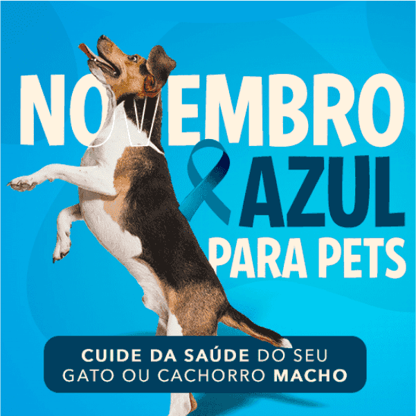 Blog Rei dos Animais - Novembro Azul para Pets Machos