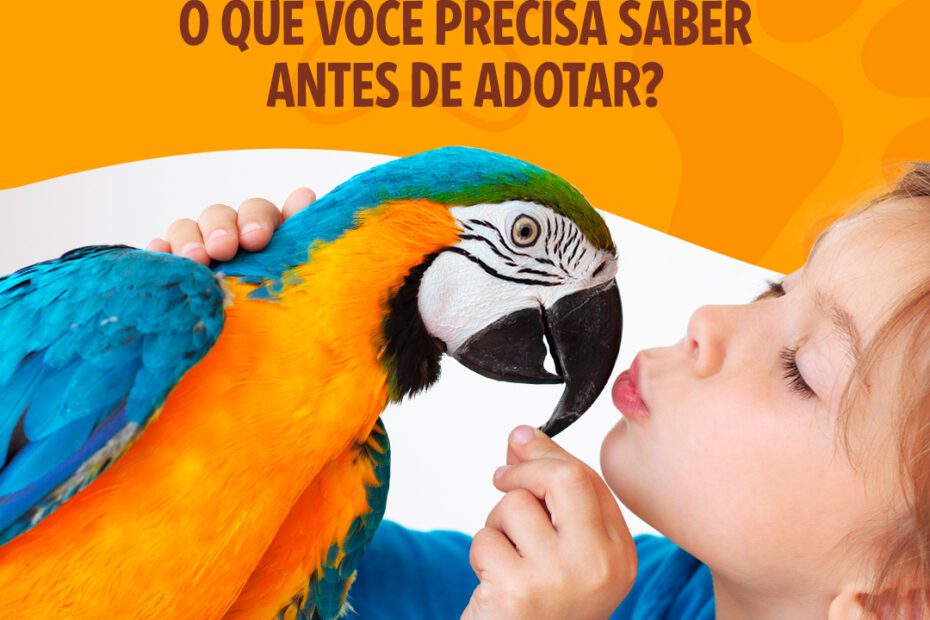 Blog Rei dos Animais - Animais Exóticos: o que você precisa saber antes de adotar