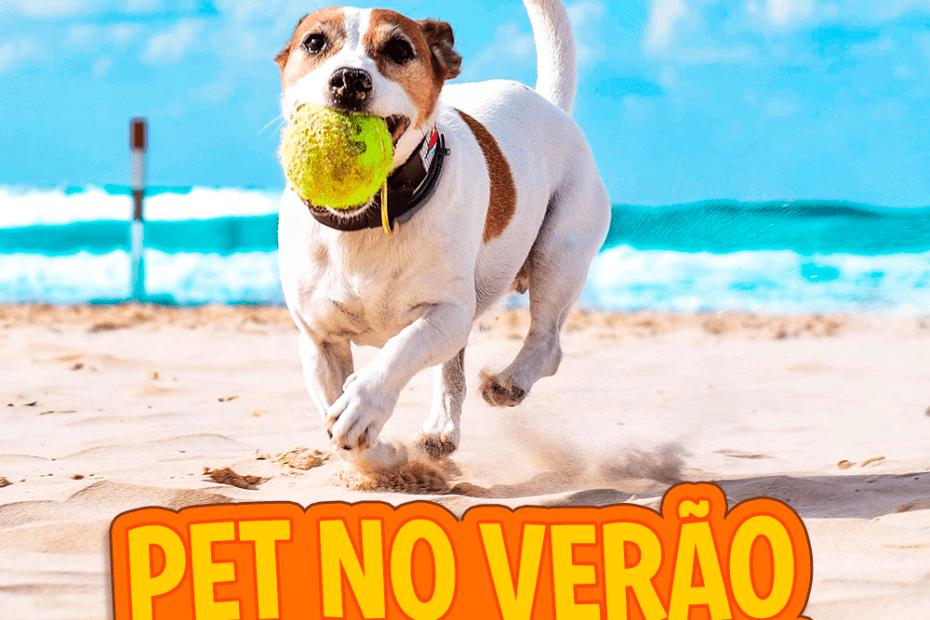 Blog Rei dos Animais - Pets no Verão: 3 cuidados na estação mais quente do ano