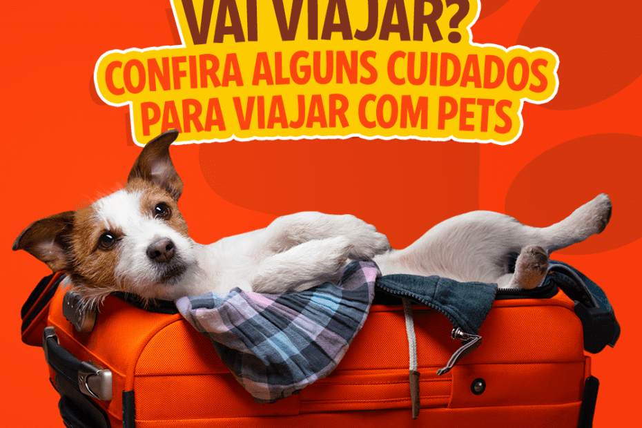 Blog Rei dos Animais - 3 principais cuidados para viajar com os pets