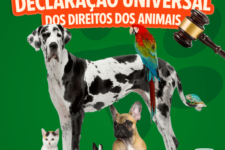 Blog Rei dos Animais - Declaração Universal dos Direitos dos Animais