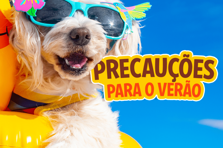 Blog Rei dos Animais - Precauções para o Verão