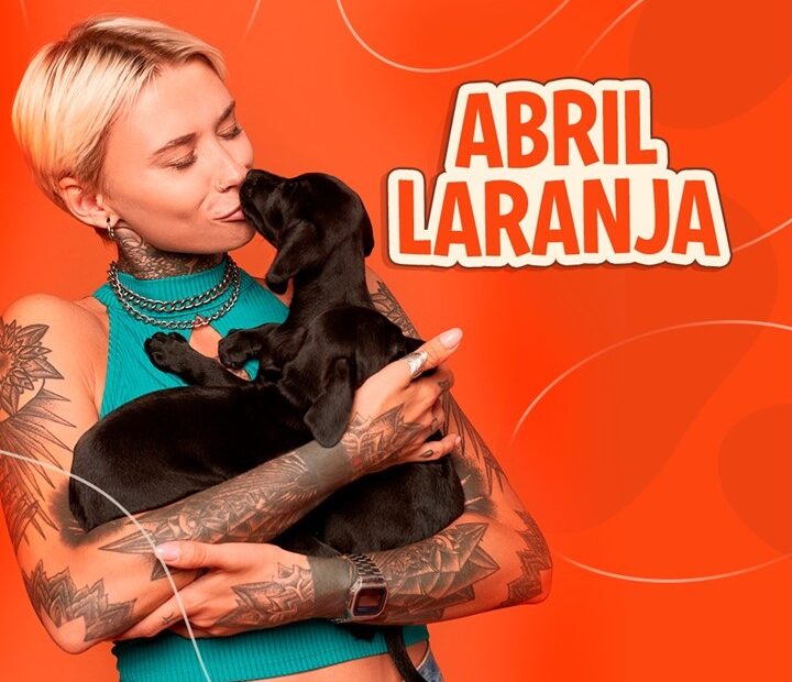 Blog Rei dos Animais - Abril Laranja