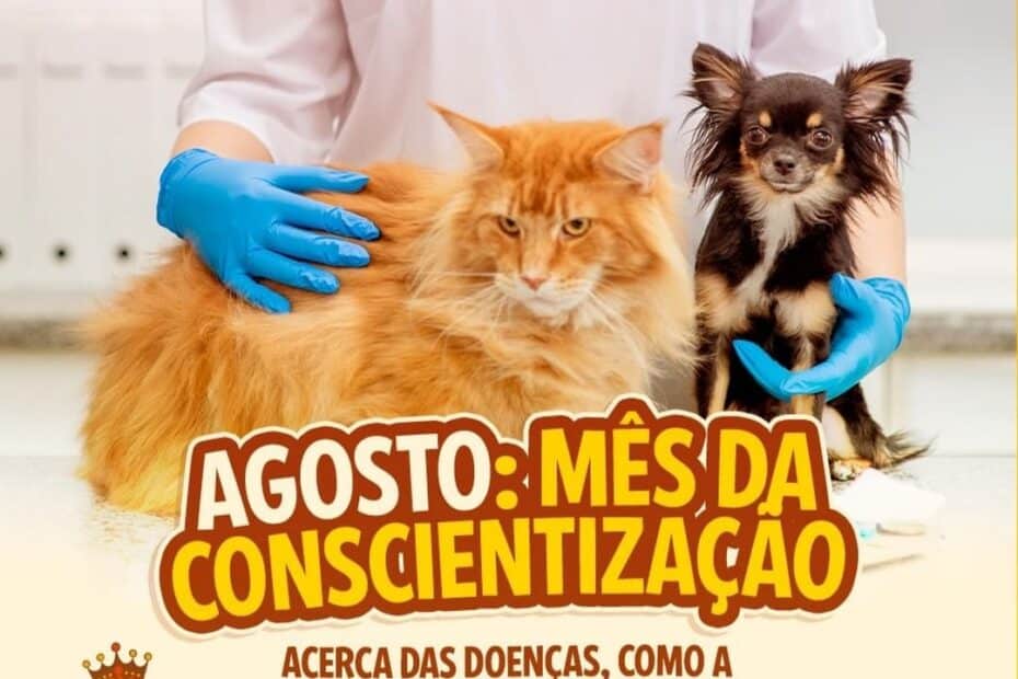 Blog Rei dos Animais - Agosto: Vacinação anual de cães e gatos