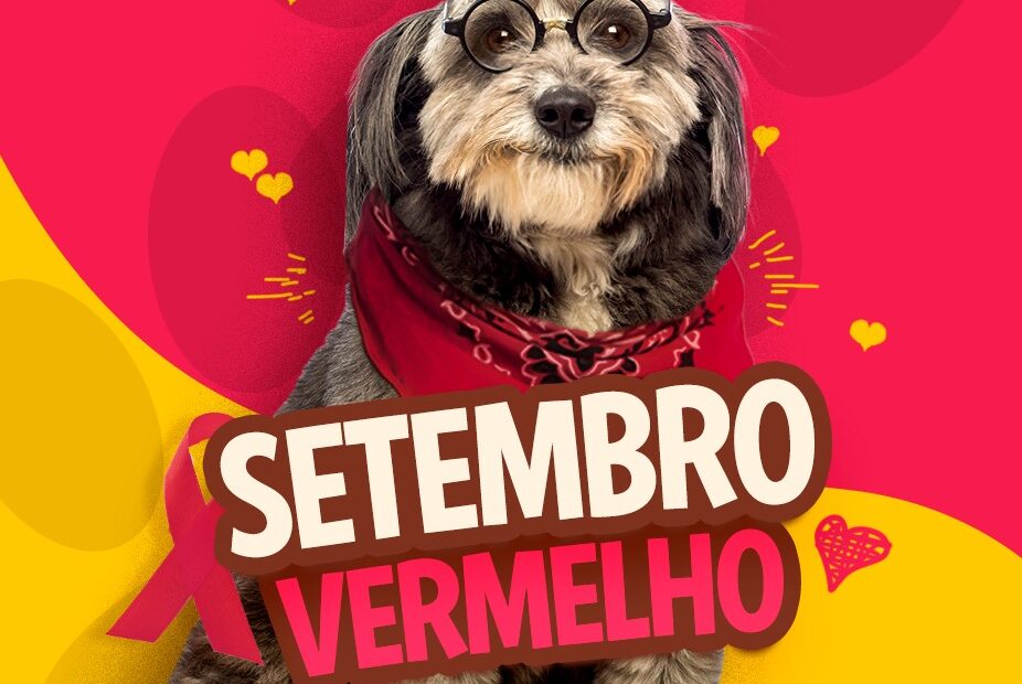 Blog Rei dos Animais - Setembro Vermelho