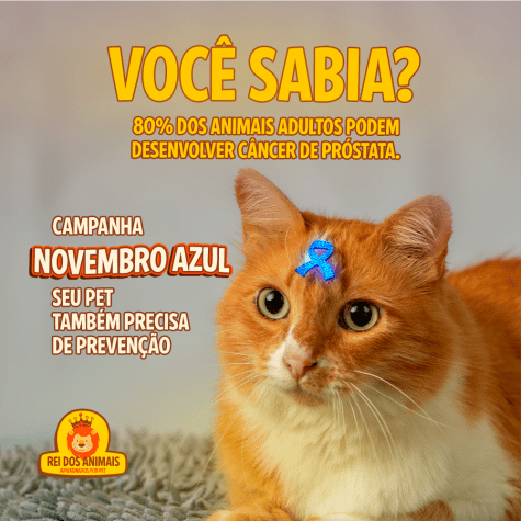 Blog Rei dos Animais - Novembro Azul