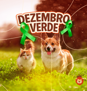 Blog Rei dos Animais - Dezembro Verde: contra o abandono de animais