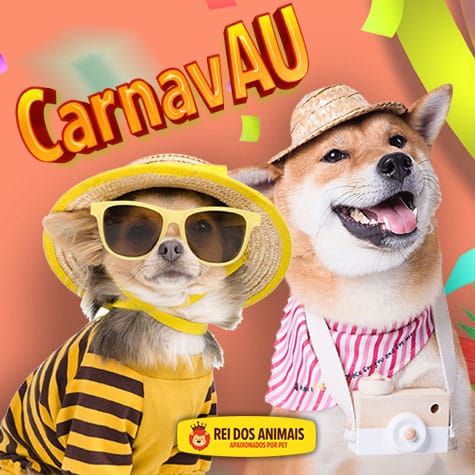 Blog Rei dos Animais - Seu pet tranquilo no carnaval