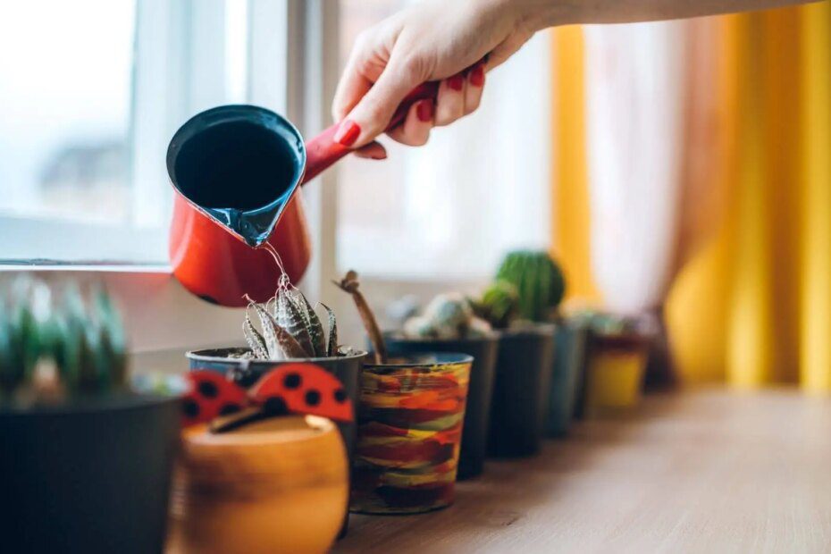 TODO mãe e pai de plantas precisa saber dessas 6 técnicas salvadoras!