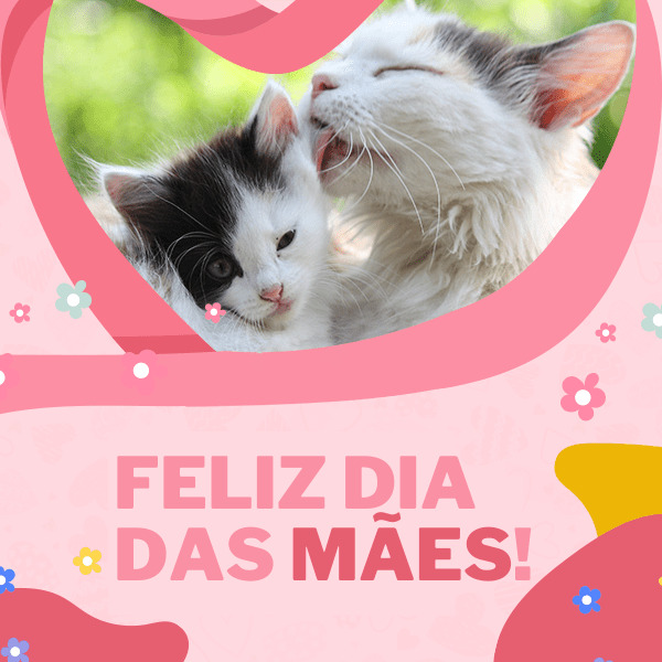 Blog Rei dos Animais - Mãe de Pet: Dia das mães com muito amor para o seu pet