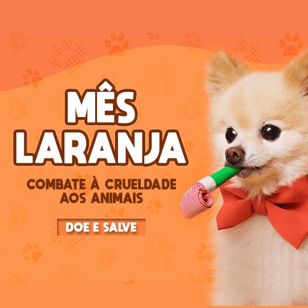 Blog Rei dos Animais - ABRIL LARANJA: Mês do Combate à Crueldade aos Animais