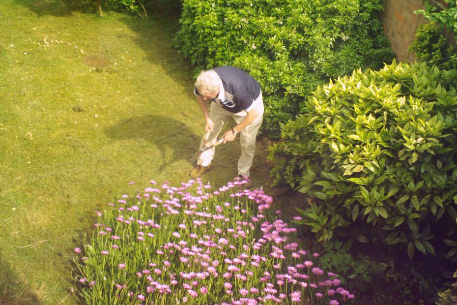 pessoa mexendo no jardim