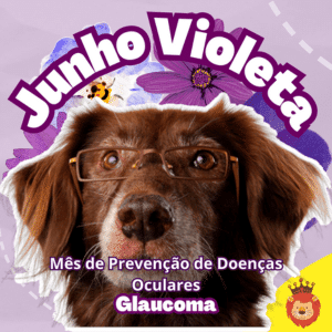 Blog Rei dos Animais - Junho Violeta