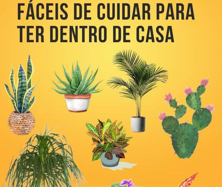 Você está visualizando atualmente 50 Plantas resistentes e fáceis de cuidar para ter dentro de casa