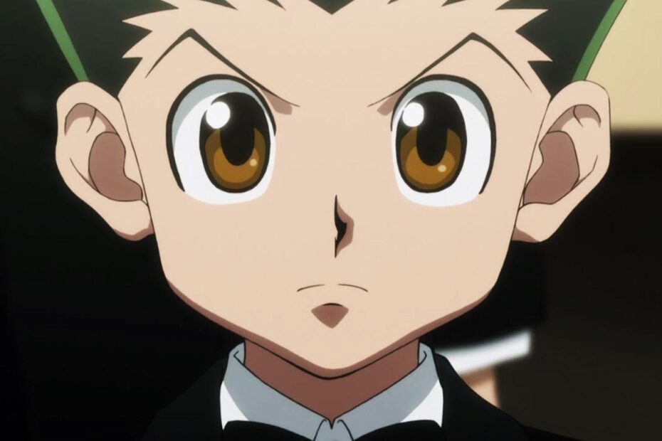 HUNTER x HUNTER