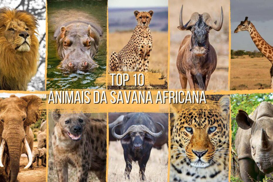 Top 10 animais da savana africana