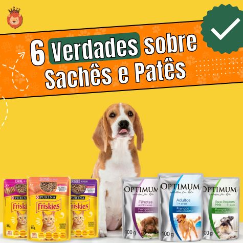 Blog Rei dos Animais - Verdades sobre Sachês e Patês