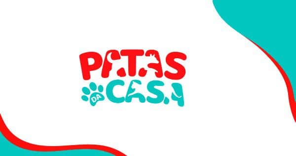 Maltês | Patas da Casa