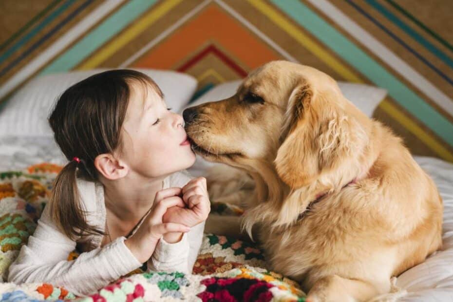 8 raças de cachorro se dão bem com pessoas de todas as idades