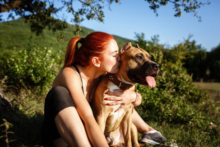 Te ama ou te odeia? Aprenda a decifrar o amor de cachorro