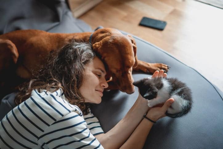 Pensando em criar cachorro e gato juntos? Veja 7 raças de cães que se dão bem com felinos