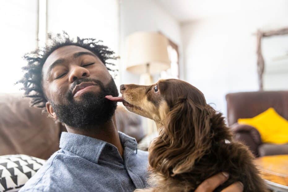 O que passa na cabeça do seu cachorro quando ele te dá lambeijos?