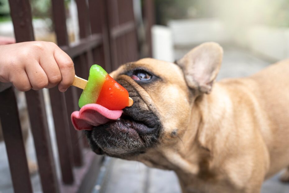 a fruta que mais oferece benefícios nutricionais pro seu cachorro é uma queridinha dos brasileiros