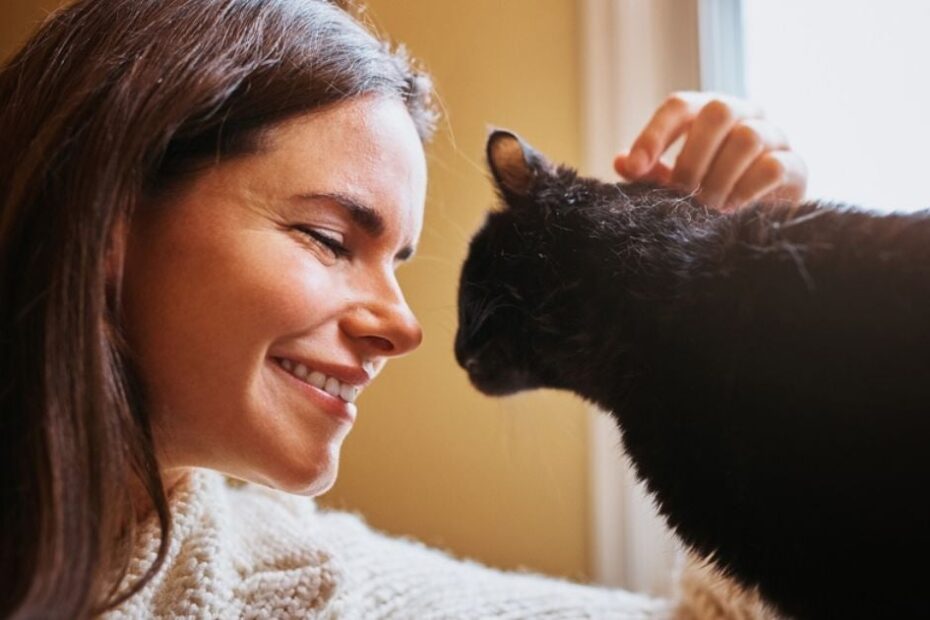 Gatos respondem melhor quando tutores fazem "voz de bebê" com eles, revela estudo